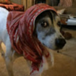 Meet your Posher, Lori